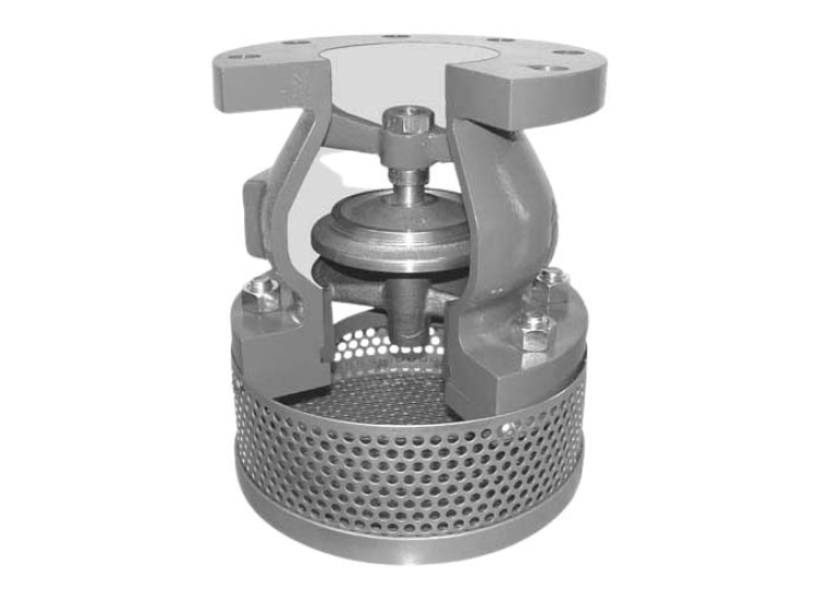 VAN CHÂN INOX NỐI BÍCH JIS10K | ARITA/ARITA-SS-FOOT-VALVE-JIS10K-ARF-117FEJ