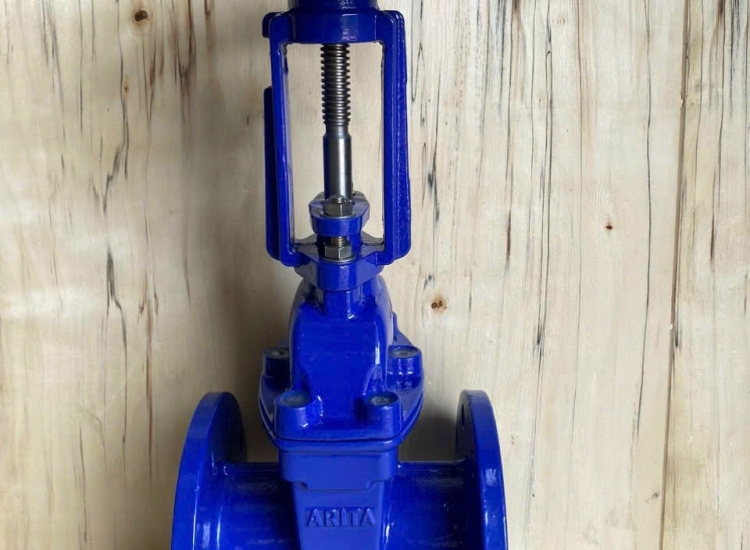  VAN 1 CHIỀU ARITA-DI-WAFER-CHECK-VALVE-PN25-ARV