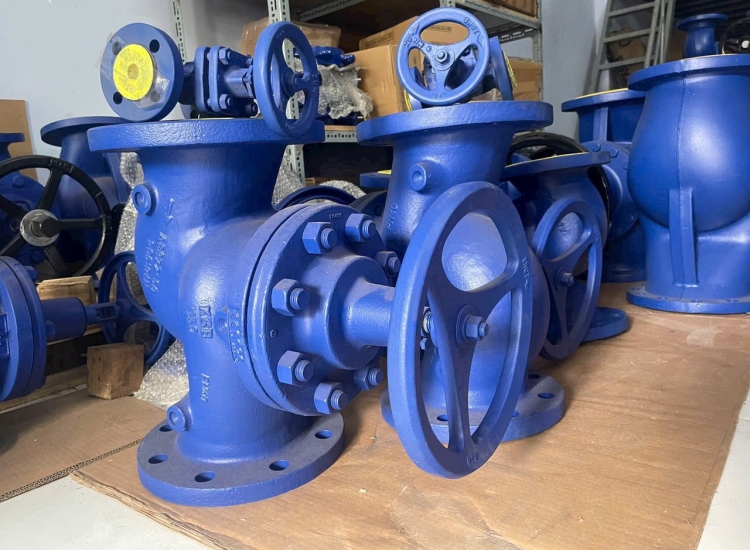 Van Cầu Gland Packing